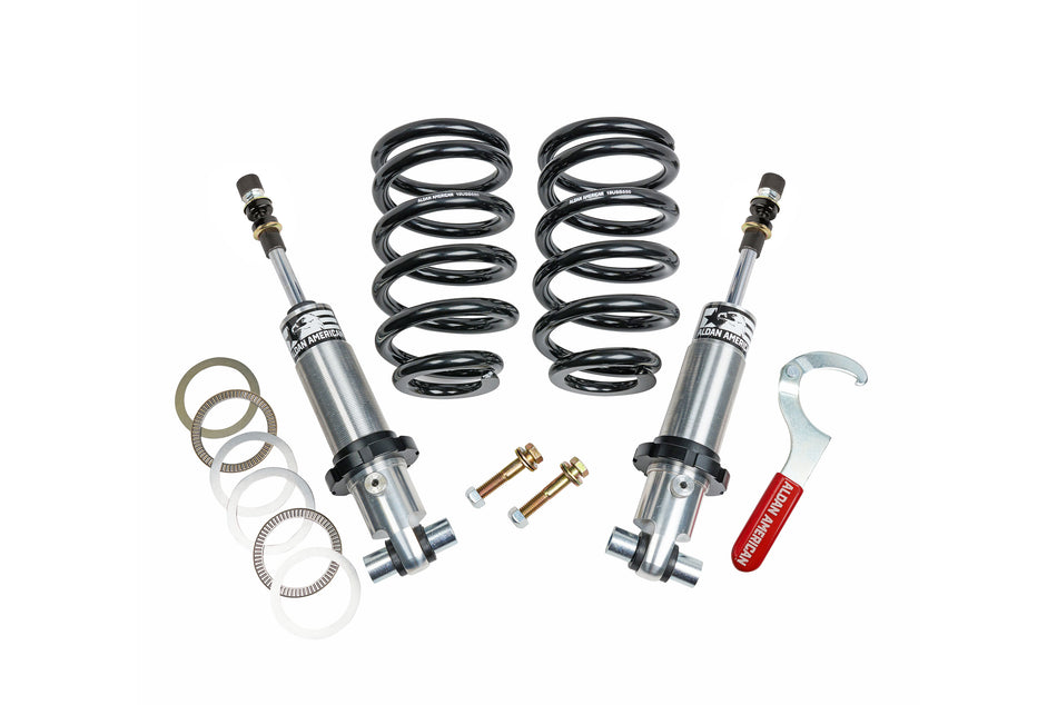Coilover Kit - Front - Double Adjustable - Big Block - Aldan American (300411)