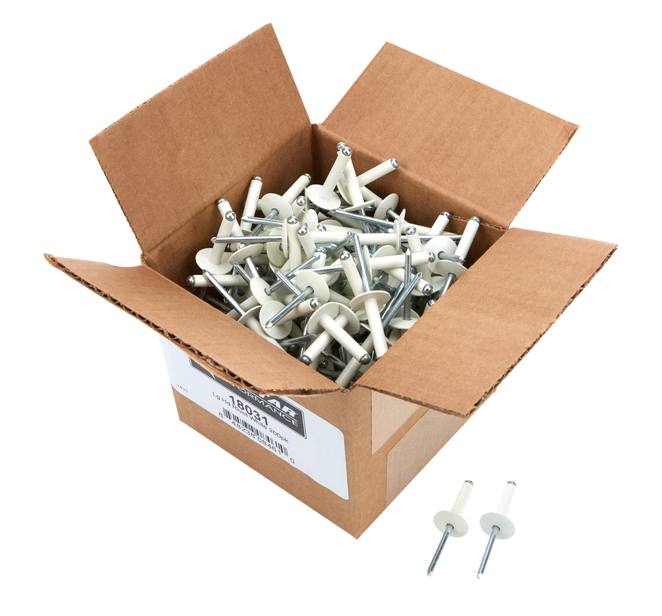 Allstar Performance ALL18031 Lg Hd Rivet White 200pk