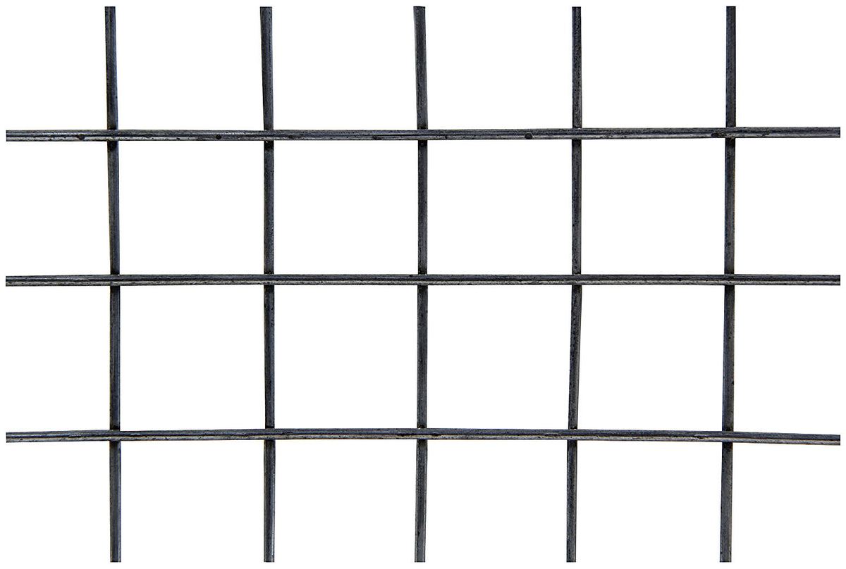 ALL22276.jpg