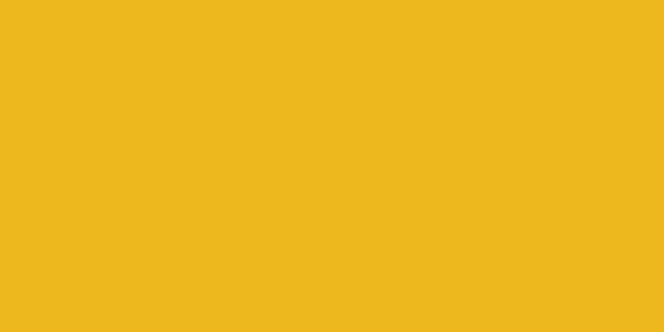 Allstar Performance ALL22466 4x8 Plastic Yellow .100in