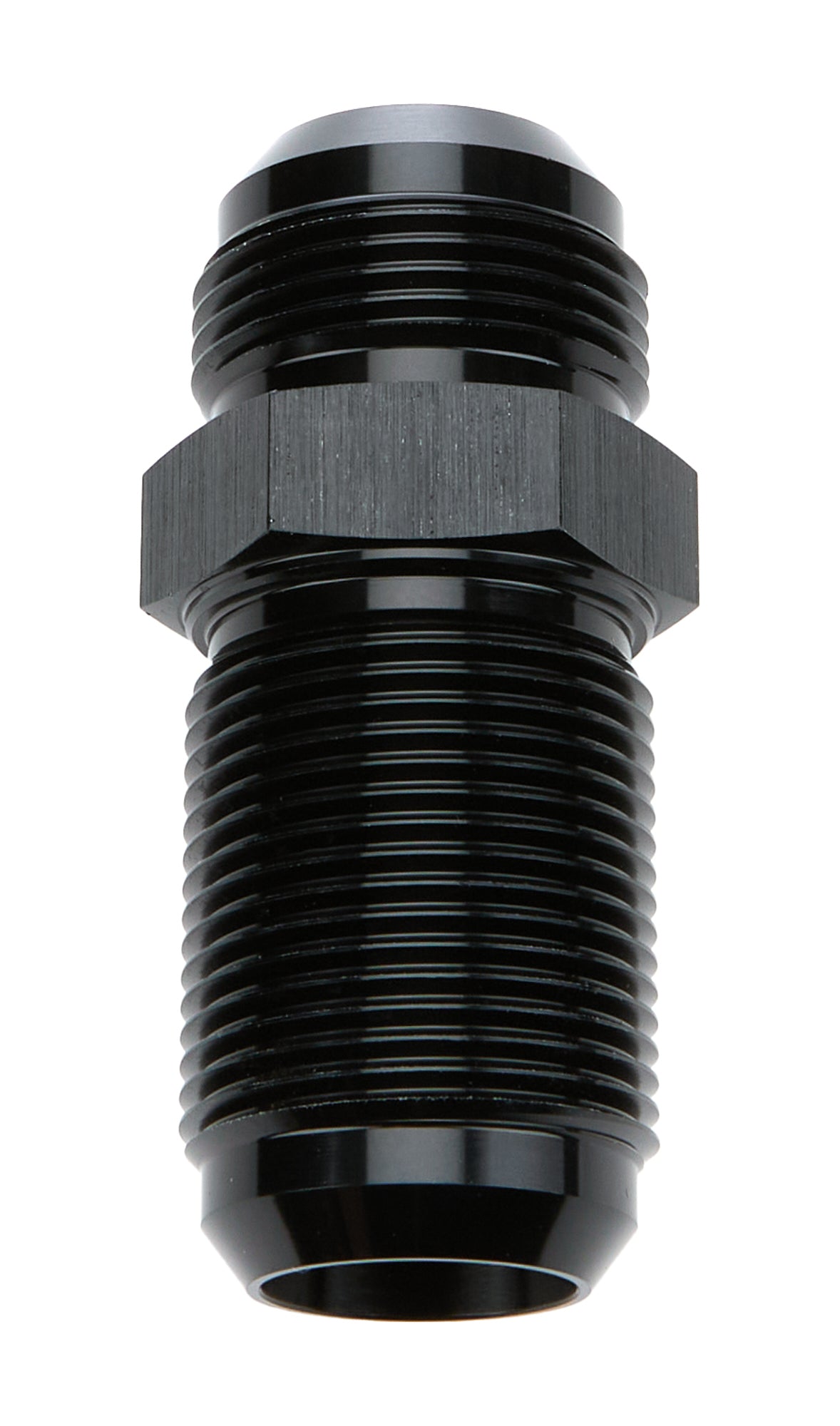 ALL49617.jpg