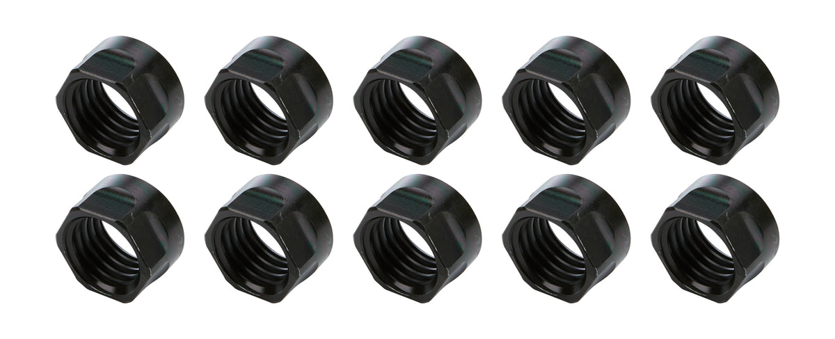 ALL56068-10.jpg
