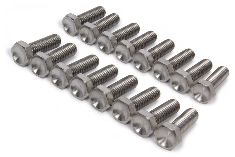 TI22 Performance TIP1010 Bead Lock Bolt Kit 16pcs Titanium 1in Long