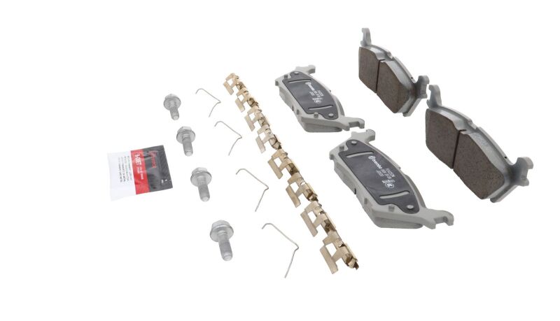 Photo - Close Up